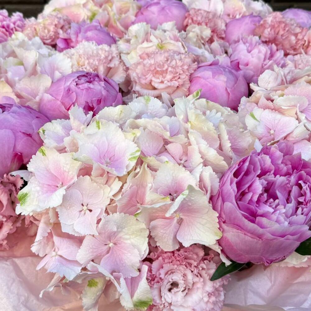 Peony & Eustoma